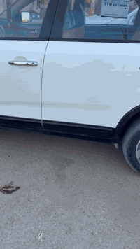 السلام عليكم للبيع سياره سورنتو2015
سياره مكفوله كفاله عامه 
فول واحد على واحد 
رقم بغداد  تحويل مباشر 
كير ومحرك كفاله 
تخم تاير جديد 
الاتصال على الرقم 
***********
مكلف بالنشر
