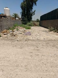 كاع للبيع ١٥٠متر عنوان الدوره هورجب طابو زراعي سند٢٥ ٠٧٧٤٠٢٦٨١٤٤