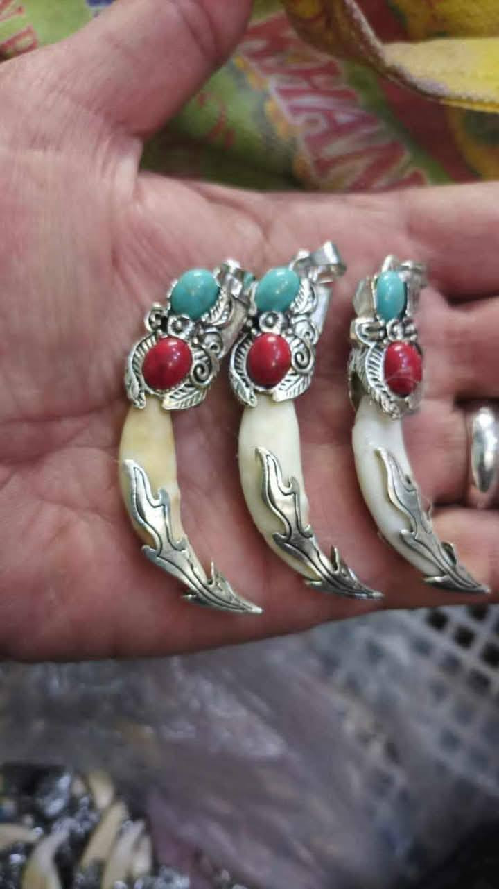 ناب الذيب سعر الناب ٣٠٠٠ الاف جمله فقط لصحاب البيجات لناس على باب الله الفحص أمام المندوب يوجد توصيل لجميع المحافظات رقم الحجز الواتساب ***********
