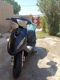 دراجه نظيفه • شطره • زينون