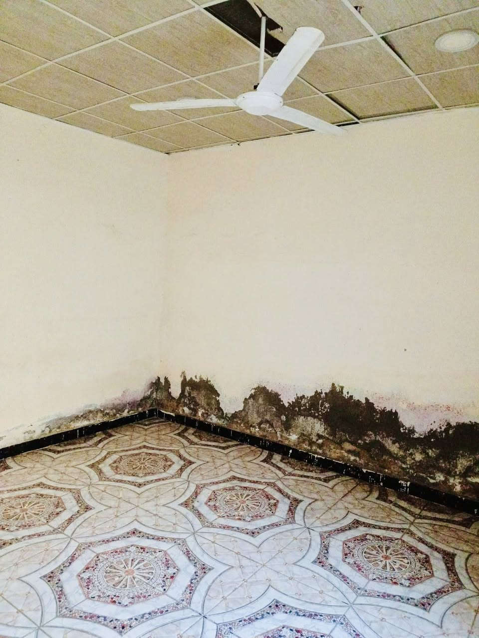 بيت للايجار وللبيع كذالك  متكون من غرفتين وصاله ومطبخ وصحيات وحمام وطارمة  العنوان الديوانيه التقية الرابعة :الاستفسار علئ هاذ رقم :***********
