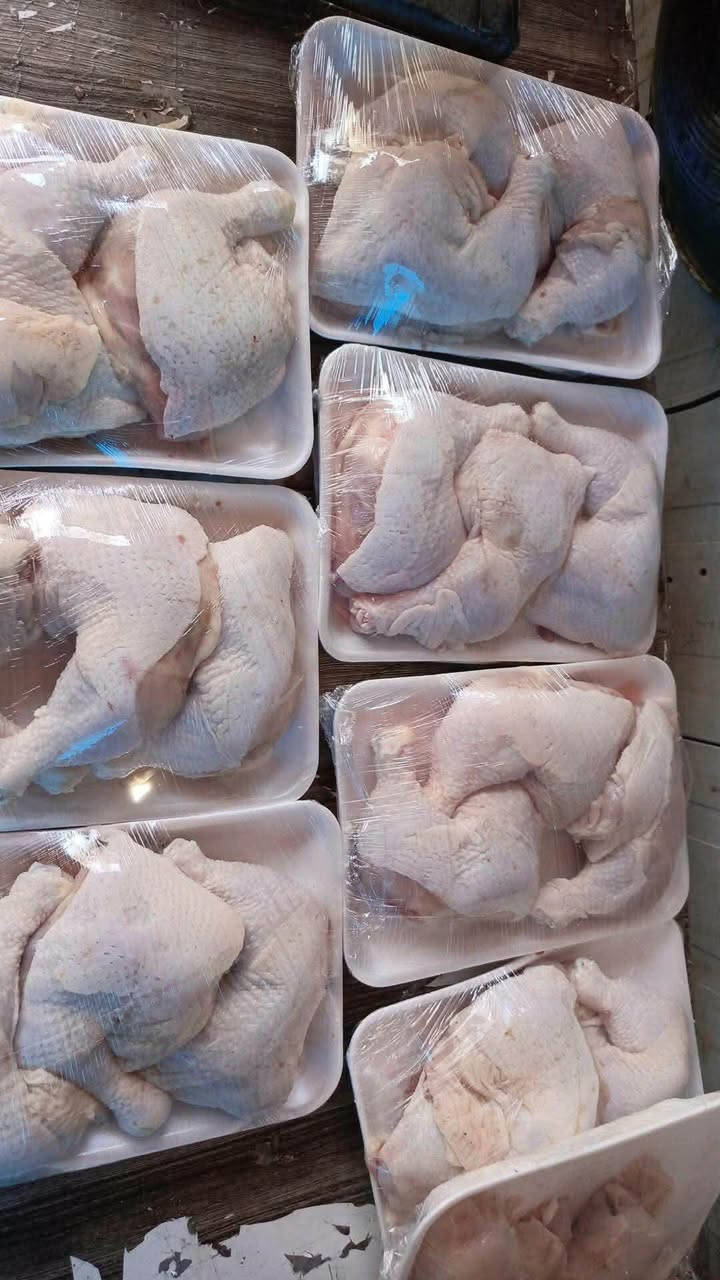 دجاج عراقي محلي ذبـ ح اليوم كيلو ب3500

جميع الاوزان متوفره 
افخاذ صدر بعظم صدر مسحب اجنحه حواصل كبده 
للحجز خاص


**إذا كنت صاحب هذا الإعلان وتريد حذفه لأي سبب، رجاءا أرسل رسالة إلى الدعم الفني**