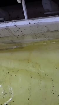 منظف بخار محمول • ٣٠٠٠ واط • تعقيم ٩٩٫٩٩٪