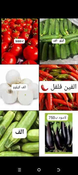 كيلو لحم شرح ب15الف
متوفر جميع انواع المخضر 

متوفر توصيل الف داخل الشطره  

للحجز السريع ع رقم الواتساب  ***********

العنوان// ذي قار ـ قضاء الشطره ـالشعله ❣️📲
