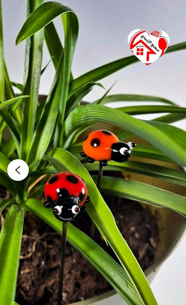 خدع بصرية
تزين زرع والسندان
دعسوقة🐞 + فطر 🍄
ينطي جماليه للنباتات الصناعيه
مجمع الزبيدي المنزلي


**إذا كنت صاحب هذا الإعلان وتريد حذفه لأي سبب، رجاءا أرسل رسالة إلى الدعم الفني**