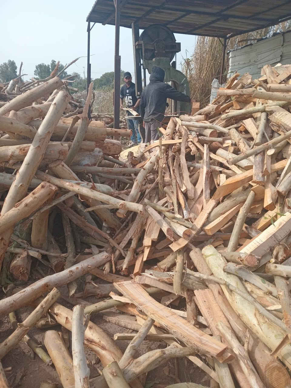 السلام عليكم لدينا انواع الحطب الشوي حطب مندي ومال سمج يتوفر من طن وما فوق ويوجود خدمة توصيل إلى جميع المحافظات للحجز والاستفسار الاتصال على الرقم الخاص للمبيعات ومتوفر واتساب/***********
