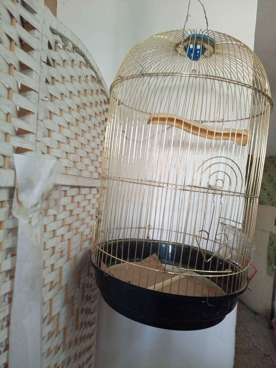 قفص حجم كبير لون ذهبي مكاني الشعب سعر 15 بغداد, العراق


**إذا كنت صاحب هذا الإعلان وتريد حذفه لأي سبب، رجاءا أرسل رسالة إلى الدعم الفني**