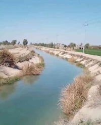 ٥ دونم • طابو زراعي • الشيخ عامر بلعيساويه