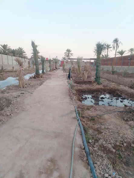 ✅بستان  مع بيت للبيع   دونم ✅👇🏻👇🏻
بيت طابقين بناء حديث طابوك
#مساحتها : ⚜️ ((2500)) ⚜️

#العنوان 👈🏻 :  البصرة ابي الخصيب سبيليات الغربيه شارع الوسطي
موقع ع نهر جاري وتبليط

#نوع العقار 📑  : طابو صرف  عراقي تحويل 
سعر 550 وبي مجال 
جيران ناس ذهب
استفسار ***********
