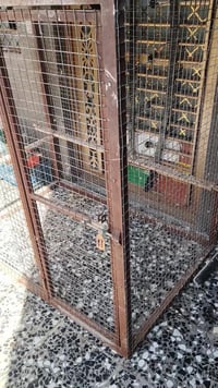 قفص للبيع • الحر • اعيد النشر