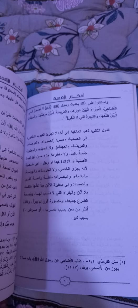 ( أحكام الأضحية في الفقه الإسلامي )
ويليه ١٠٠ سؤال وجواب في أمور تتعلق بالأضحية 
غسان عبد الرزاق الملاح
منشورات مؤسسة الفيض الإنسانية  - الموصل 
٣    آلاف دينار


**إذا كنت صاحب هذا الإعلان وتريد حذفه لأي سبب، رجاءا أرسل رسالة إلى الدعم الفني**