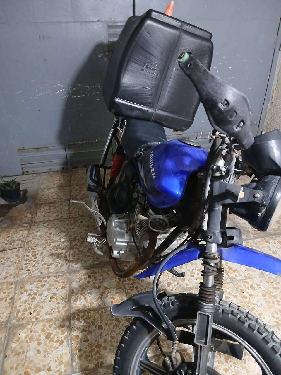 السلام عليكم 
حبايب دراجه اصوليه اورقاها كامله كلشي كامل بيها 
الدراجه حلوه ومال شغل 
المحرك اني اكفله الك كفاله برغي مامفتوح 
سعرها ٥٠٠ وبيها مجال او مراوس 
رقم ***********
