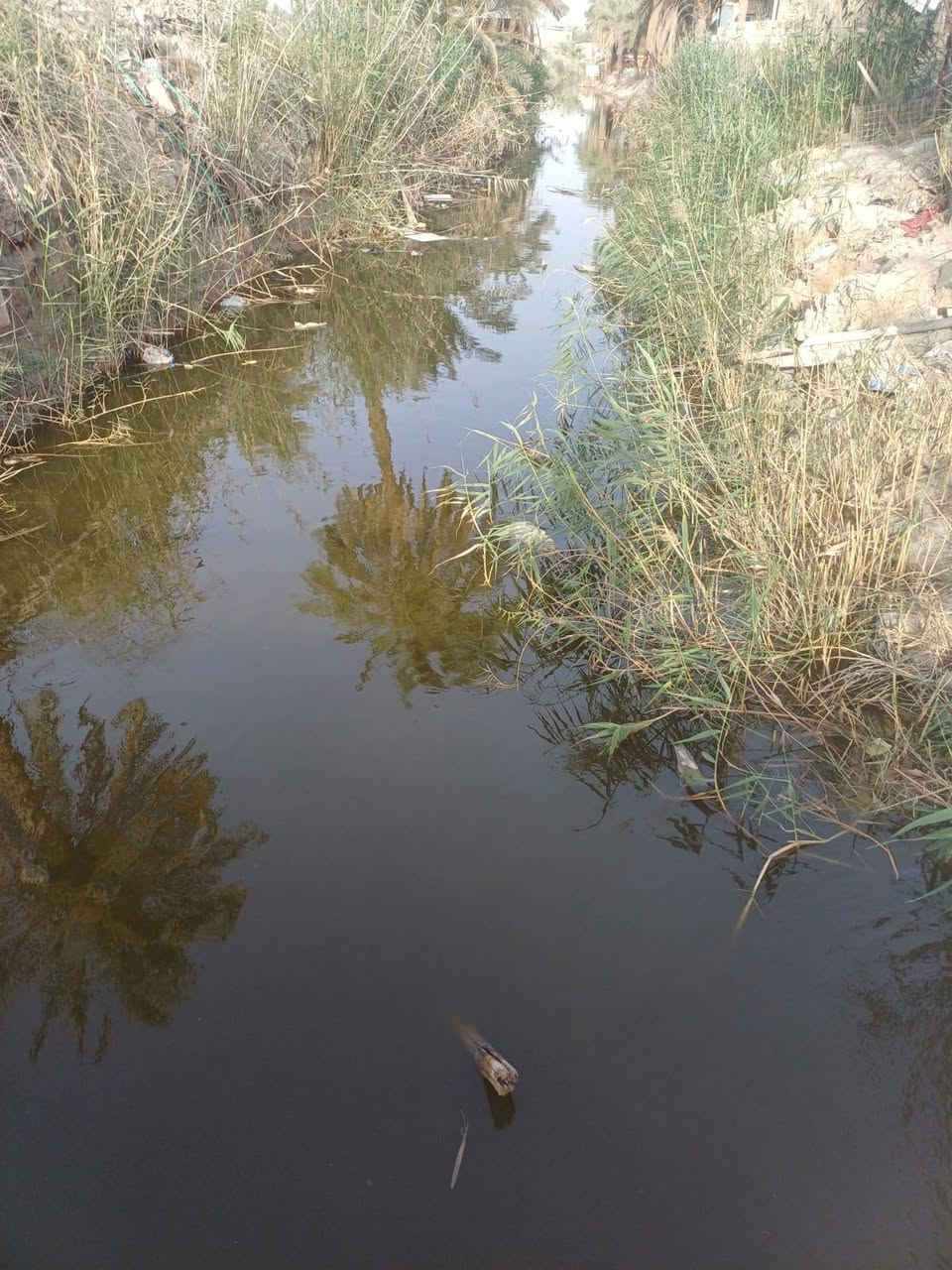 🌴 دونم للبيع في موقع مميز – أبي الخصيب 🌴
فرصة رائعة لامتلاك عقار مميز مطل على نهر جارٍ في منطقة هادئة وجميلة، مناسب للسكن أو الاستثمار أو الاستراحة العائلية.
🔹 المساحة: دونم كامل
🔹 السند: طابو ملك صرف – تحويل باسم المشتري مباشرة
🔹 الموقع: مطل على نهر جارٍ
🔹 يحتوي على: عدد من النخيل والأشجار المثمرة
🔹 مسيج بالكامل من جميع الجهات
🔹 يتضمن دار استراحة (كرفان) جاهزة للاستخدام
🔹 قريب من الشارع العام الداخلي (السايدين)
🔹 العنوان: البصرة – أبي الخصيب – طريق الصحراء
✨ موقع مميز يجمع بين الهدوء والطبيعة وقرب الخدمات، ويصلح للسكن أو للاستثمار أو كاستراحة خاصة.
📞 للاستفسار والاتصال:
*********** البصرة, العراق
