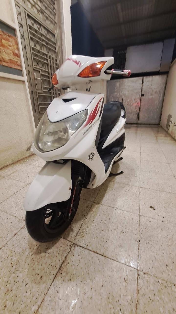 السلام عليكم
دراجه سكنس فحل للبيع 
الدراجه جديده 
للتواصل ***********
بغداد العبيدي
