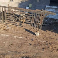 محجر للبيع مال بنكو خوش محجر سعر 250بي مجال