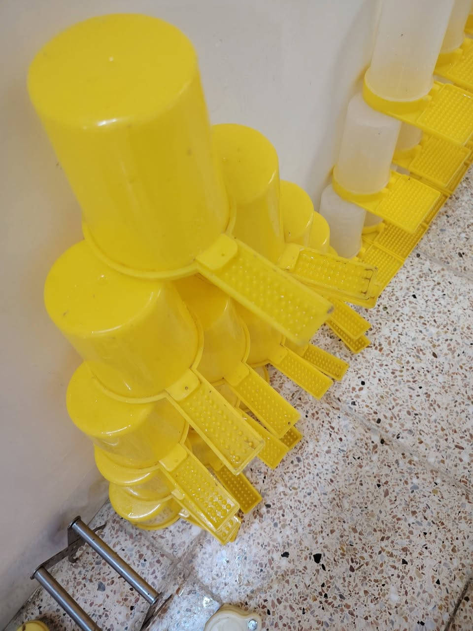 تصفيه أغراض منحل للاتصال على الأرقام
***********
***********
