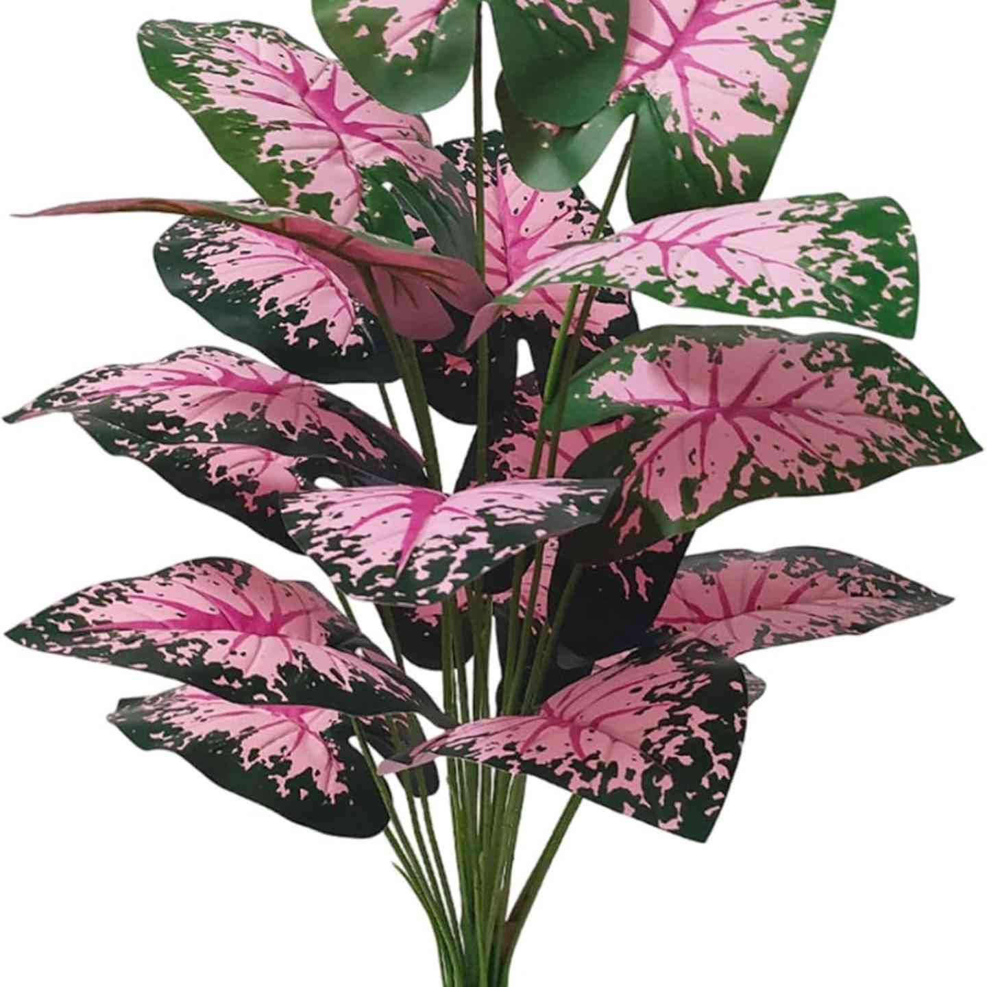 متوفر توصيل لجميع المحافظات العراق 🇮🇶❤💜💚💙💛❤💜💚💙💛


**إذا كنت صاحب هذا الإعلان وتريد حذفه لأي سبب، رجاءا أرسل رسالة إلى الدعم الفني**