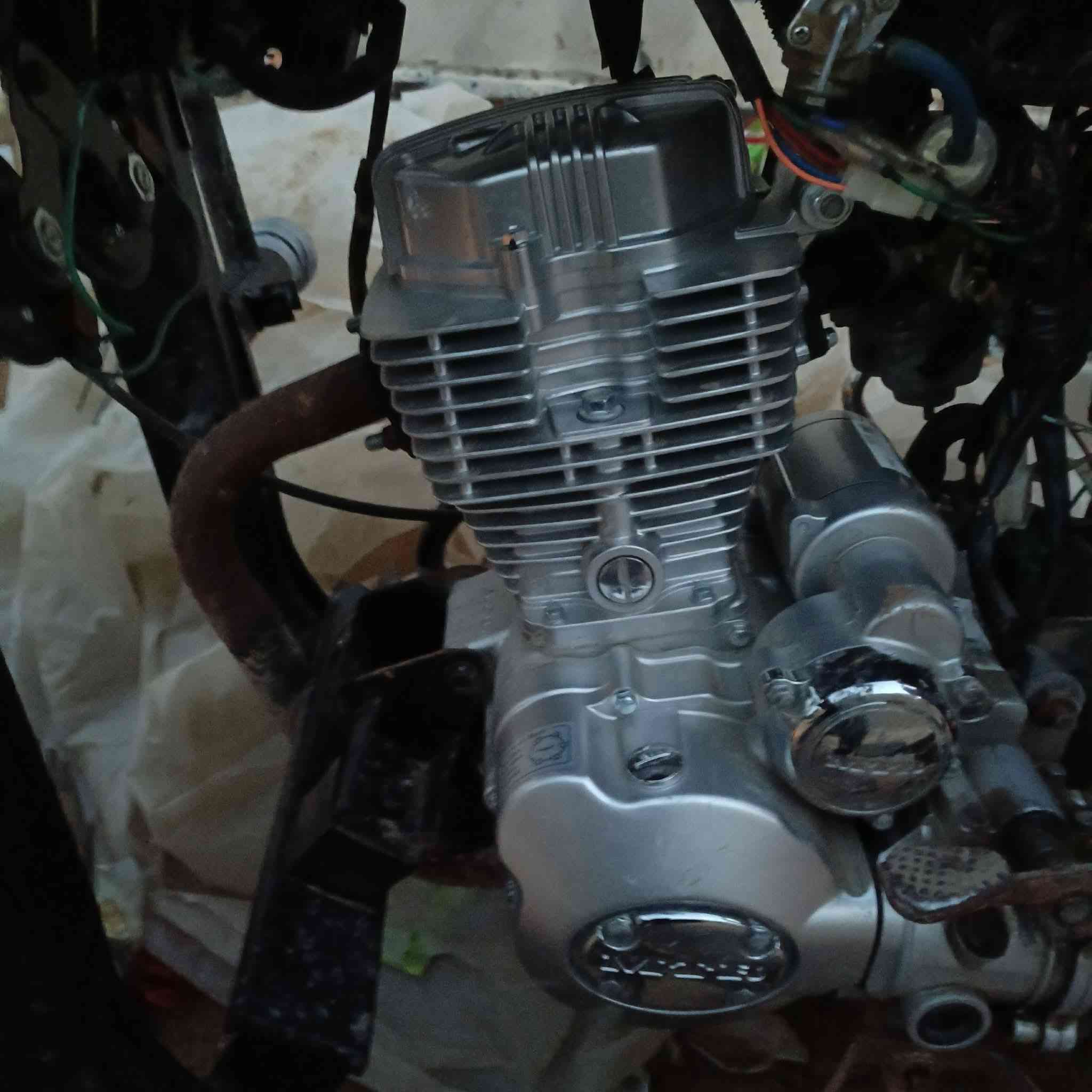 السلام عليكم شباب هاي ستوته امتيار للبيع اي واحد يريد انا خادم موديل 2010 بالشاميه ستوته اغراضها كلها جدت الله شاهد ورسوله الي يريدها راح اخلي رقمي ***********
