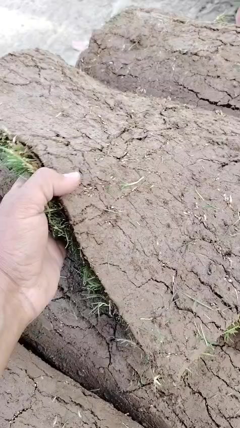 وصلنا ثيل درجة اولى هندي✅
العنوان كورنيش الديوانية مقابل هايبر توفير 
للحجز والاستفسار مراسلة الصفحة


**إذا كنت صاحب هذا الإعلان وتريد حذفه لأي سبب، رجاءا أرسل رسالة إلى الدعم الفني**