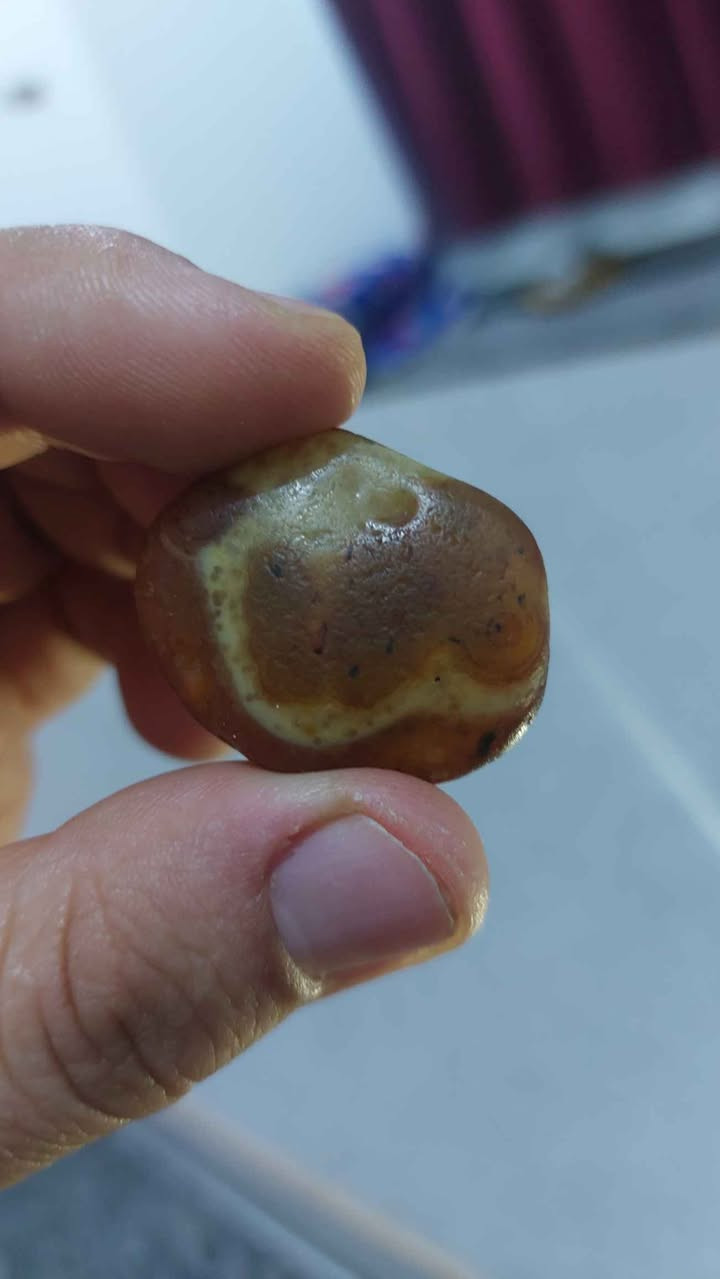 احجار سليماني خام طبيعي ملاكط البصرة, العراق


**إذا كنت صاحب هذا الإعلان وتريد حذفه لأي سبب، رجاءا أرسل رسالة إلى الدعم الفني**