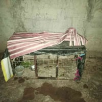 قفص حديدي • درجة أولى • كركوك