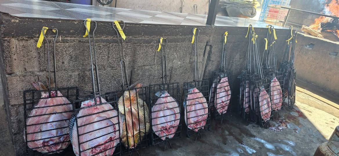 بسم الله ماشاء الله 
سمك اقفاص درجة اولى جميع الأوزان 
دجاج ذبح مشوي على الحطب سعر الدجاجة ١٢٠٠٠ فقط 
أتصل ولا تحتار 
سعر الكيلو ٥٠٠٠ فقط وبدون شوي 
مع الشوي ٦٥٠٠ فقط 
أتصل وتدلل 
توصيل لباب البيت 
***********
***********
@إشارة
