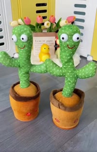 ١٠٠ كارتون • شحن • سعر مناسب