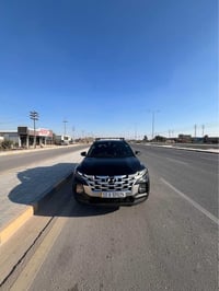 سانتا كروز • ٢٠٢٣ • وارد أمريكي