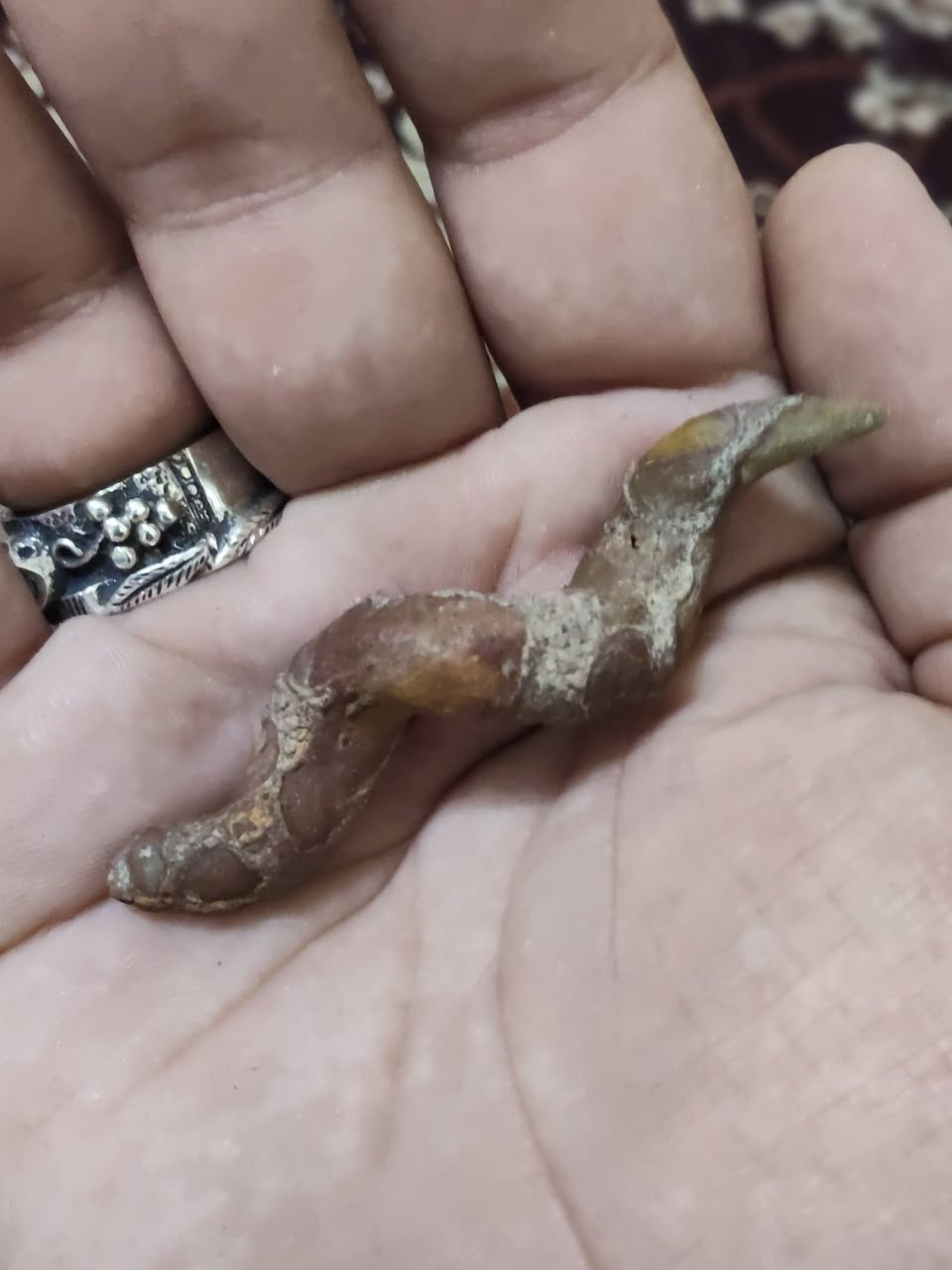 نواد اللوي النباعي الطبيعي، قطعة اصلية حقيقية (لا يوجد اي تدخل بشري في تشكيلتها) للبيع والقطعة سعرها غالية .. اليريدها اما يتواصل خاص او يتصل *********** متوفر واتساب
