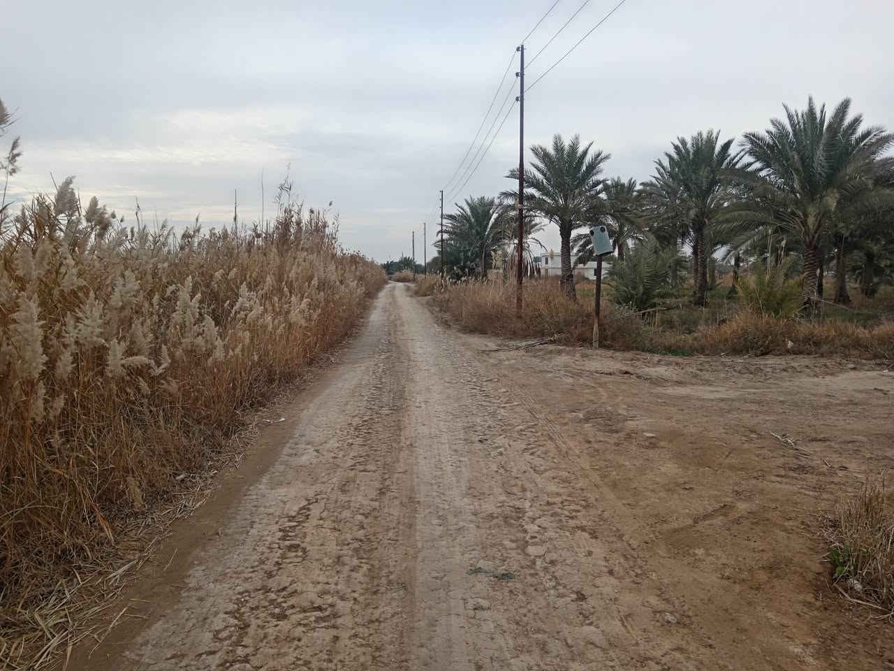 قطعة أرض طابوا ملك صرف ربع دونم تنزل بسمك مباشرتآ علمآ تتواصل مع صاحب الأرض مباشرتآ بدون وسيط 
 قرية بيت ابو عميمية تبعد عن الشارع ٦٠٠ متر خدمات كامله تصلح سكن او مزرعة
اليرغب بالشراء الاتصال على الرقم ***********
