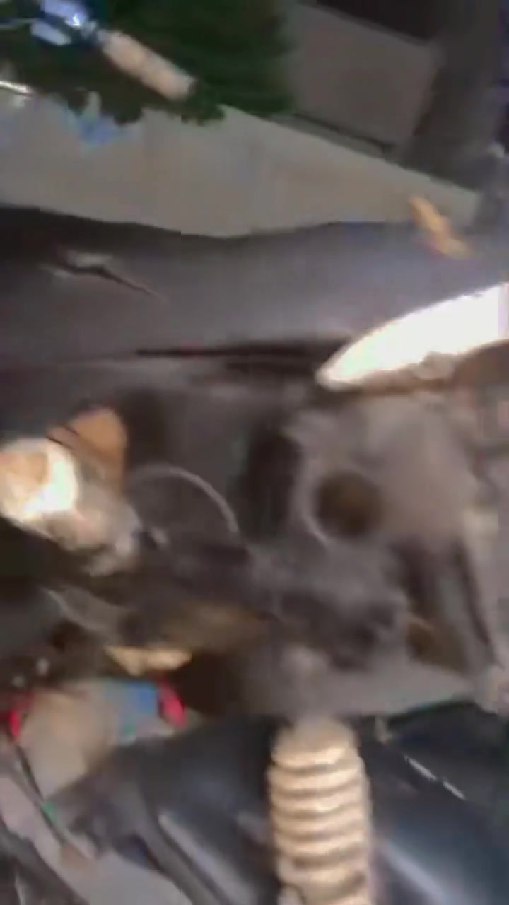 للبيع او للمراوس سعر خاص شعدك نزل 🤞.


**إذا كنت صاحب هذا الإعلان وتريد حذفه لأي سبب، رجاءا أرسل رسالة إلى الدعم الفني**