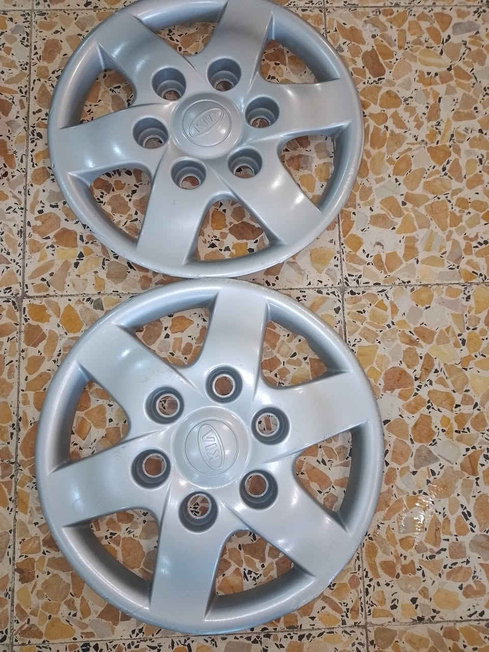 السلام عليكم كبات بريجو منغولي حجم 14 المكان الدوره الطعمه متواجد على الفيس /الرقم/***********/بي واتساب
