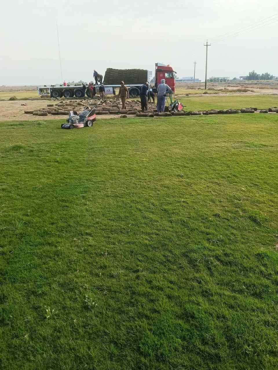 تخفيضات 🫢 تخفيضات 🫢
لفترة محدوده 🏡#الشجاروالديكورات_والنخيل_والترتيب 
أهلاً بكم في #شركةالمهندس_لثيل_الطبيعي 🌿🌱
 نقدم لكم افضل انوع الثيل الطبيعي عالي الجوده يتحمل كافه الظروف البيئية.🌦️🌞
دائم الخضرة🌿🌳 وباسعار تنافسيه وعروض مميزة ☘️❤️
#مستعدون لتجهيز وفرش الحدائق🏡 ودوائر الدولة🏡والمنازل🏡🏡
و تجهيز الملاعب🏟️ والمنتزهات بانسب الاسعار مع #ضمان الجودة العالية في العمل👷👷

مع خدمة التوصيل خلال24ساعه🚛🚛
#الاسعار 💵💸 تختلف حسب الكمية 
للاستفسار الاتصال على :
او التواصل مع الصفحة عن طريق ارسال رسالة على الوتساب او الاتصال 
***********
