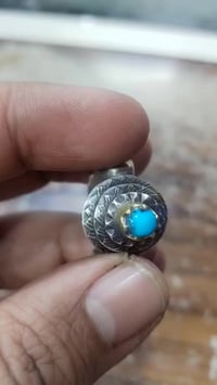 نيشابوري فول زراك • حبه ناعمة • يماني شجري