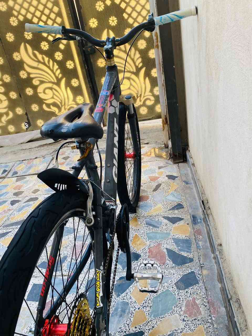 ياالله سلام عليكم شباب باسكل ستعراضي بايك ماركه جاينت باسكل مزود بطيخات مكينه باسكل خير من الله عليه تايرات يطالي (.مكاني بغداد حي جهاد )(السعر خاص) او راسلني عل واتساب فقط. (***********)
