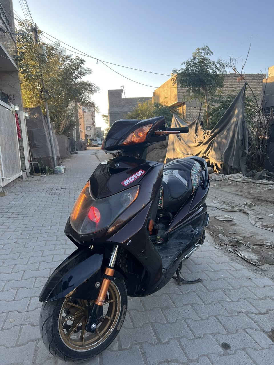 سلام عليكم سكنس فحل نوزل طلاعات مزوعه 
‏بيها 
 يدات بريك 
صدر امامي مشمشي 
صدر خلفي مشمشي 
فلنجه وتطواله وفج 
صولنصه بوري عدل ام لوزه 
ماصده عين شيطان رياضي 
كشن اربعه
وي رياضي 
كلجات امامي خلفيwf 
اشاير وجامه مشمي 
دراجه مكينه ٥٨ بلاد ممفتوحه بلاد 
شلعه ومعدل تاكل شارع كلش قويه معدلها صاروخ 
السعر 1250  وبيها مجال لطيبين مكاني صليخ رقمي *********** خاص اجاوب تعاليق مارد
