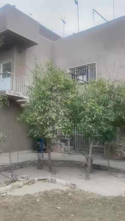 مشتملات اثنين علوي وسفلي صالحة للسكن ، مفصولات عن بعضهم ، مساحة ٩×٣٠ أو ١٠×٣٠ من بيت مساحة ٦٠٠ متر . بغداد ،بلديات ،قرب دائرة المرور ، محلة ٧٣٨ .
بناء ٢٠٠٢ ، صالحة للسكن .
سعر متر ٣،٠٠٠،٠٠٠ مليون 
اتصال، (*********** )
