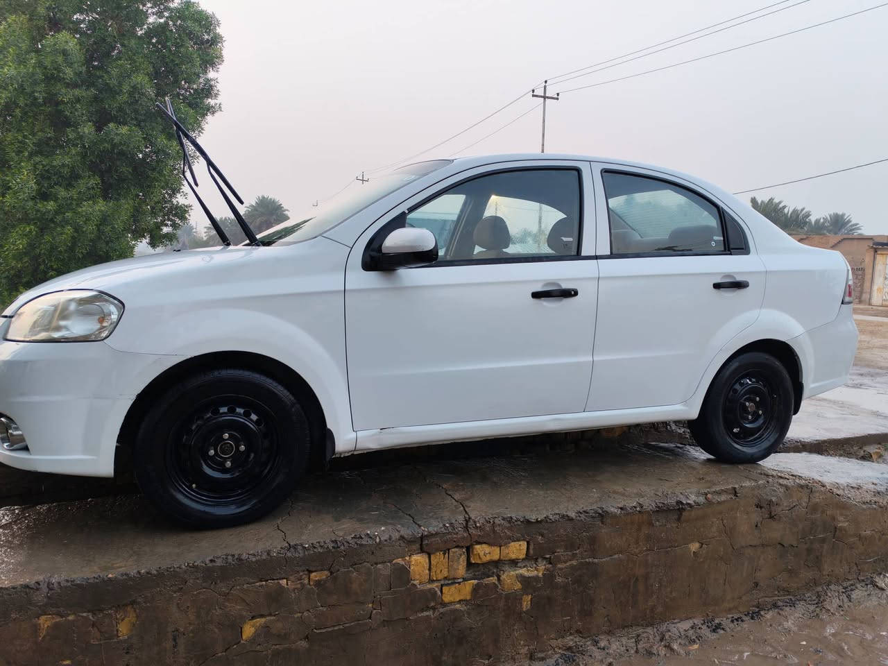 افيو 2011 رقمها ديالى مشروع وطني مداور ثاني يوم السياره مكفوله من الصبغ والضربه القويه تبريد تدفئه كله شغال السياره مال جناي
سعرها 75 وبيها مجال التواصل عالرقم ***********
