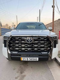 تيندرا بلاتينيوم • ٢٠٢٤ • مشي ٣٦٠٠٠