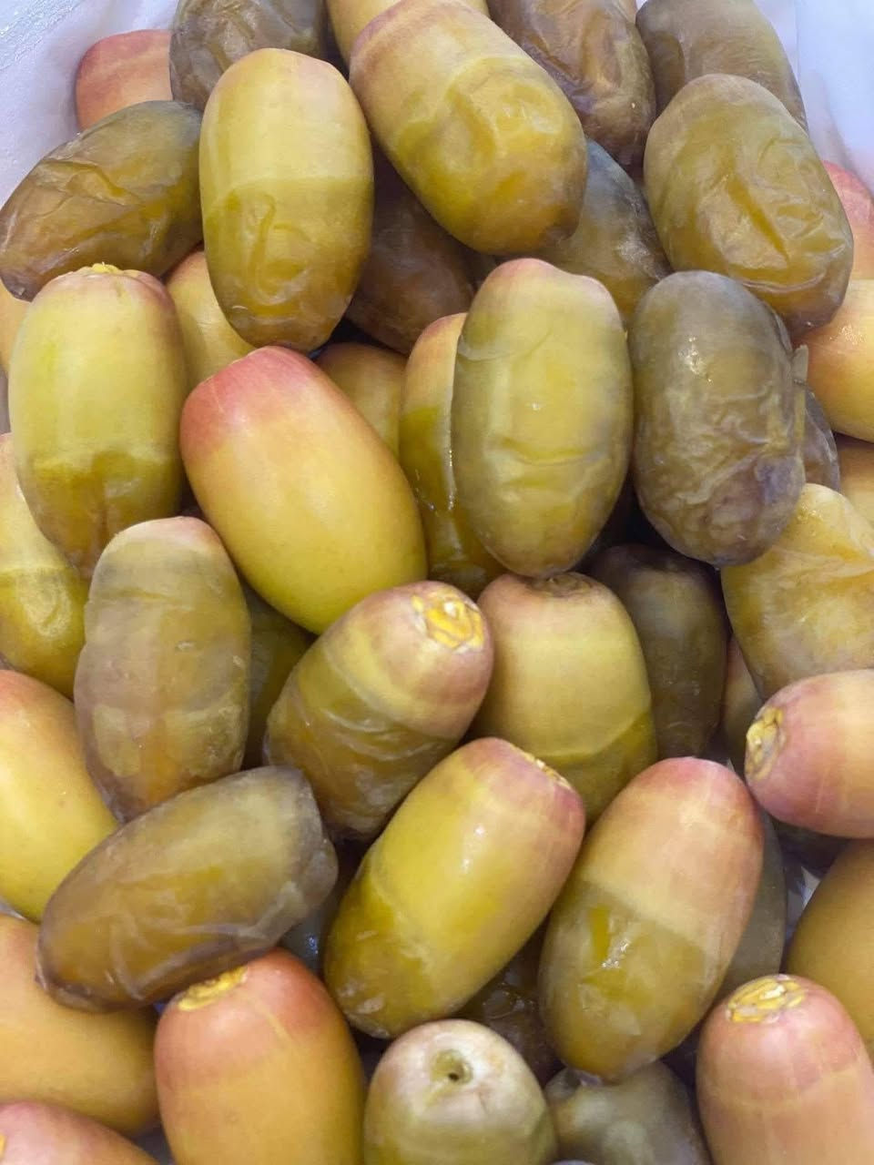 متوفر فسيل  بريم 35 فسيل ام دهن +بلكه***********/50
