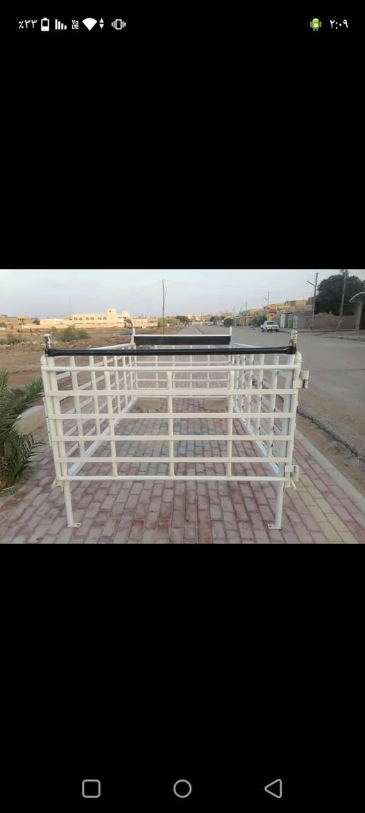 محجر فحل ***********
