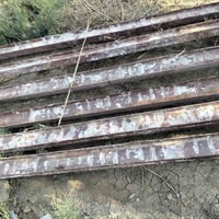 شيلمان • ٤م • بلجيكي