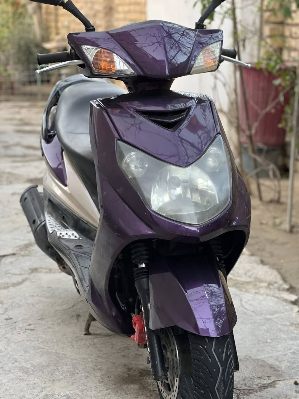 السلام عليكم سكنس فحل للبيع التفاصيل الاتصال ع الرقم ***********المكان بابل الحله
