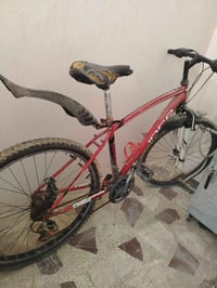 بسكليت • عجلة ٢٨