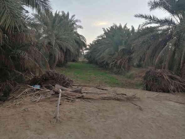 بيت طابوق
بيت  طابقين مساحه ٣٠٠ كونكريت
بيه ٣ اغرف
ومطبخ وصاله وبراني وحمام داخلي وخارجي

مع دونم  زراعيه بستان كامل
الموقع الحمزه الشرقي بالشوفه 
غير متواجد ع الفيس مكلف بالنشر فقط 
لللاستفسار هذا الرقم ***********
