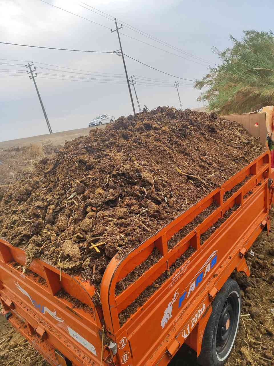 سلام عليكم يتوفر سماد حيواني نظيف ولابي ملح ولا شي سمادة تخبل افظل من بتموس  ملاحظه سماد مال جاموس وابقار مو مال مقالع ودبون يشبه بتموس وسعر ستوته حسب مكان  هيج حمال وهيج نظافة سماده براسها ستين حظ التواصل ***********
ملاحظة ❓ سماد انه اشتري من حيادر من اهل الحلال واجيبة الك للمكان تريده

