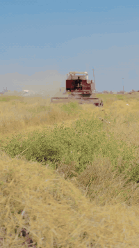 حاصده لافيرده للبيع  رقم اربيل مكانها كركوك للاستفسار الاتصال ب الرقم التالي ***********
