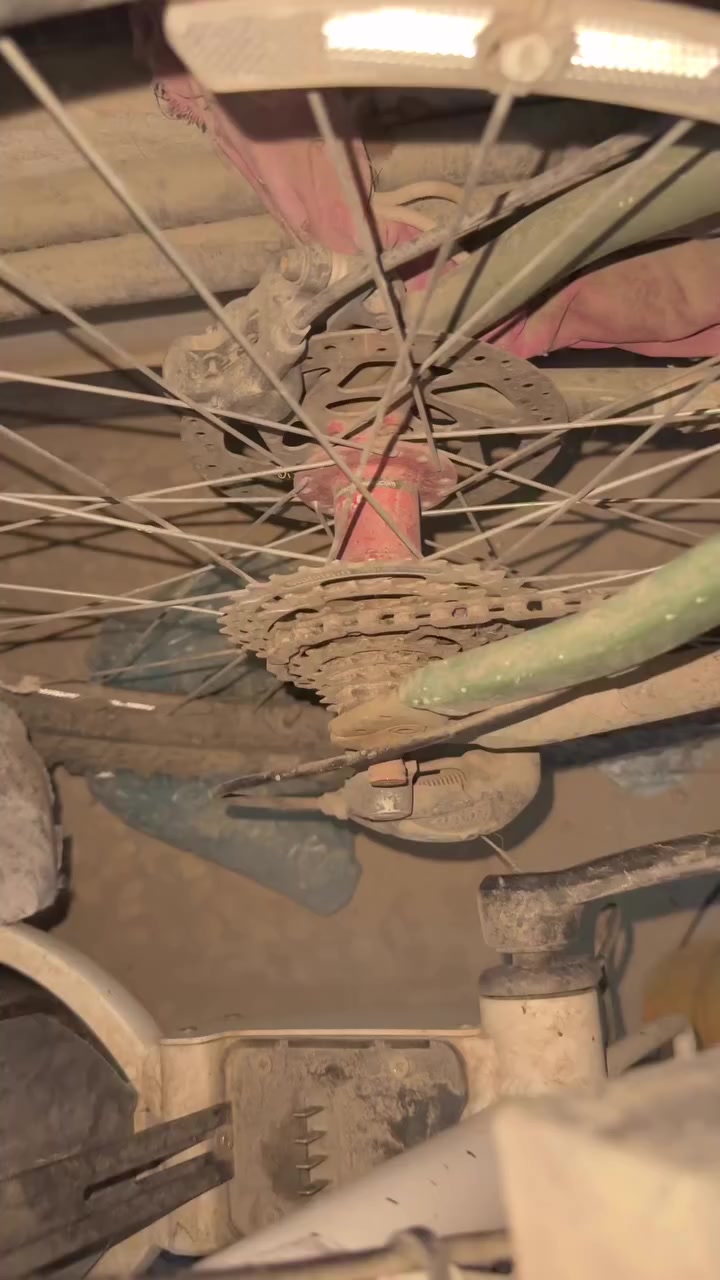 سلام عليكم باسكلات غني عن التعريف الي يعرف قيمتهن ويشتري يجي خاص ما يعرف قيمتهن اعبر منشور مكاني بغداد الدوره


**إذا كنت صاحب هذا الإعلان وتريد حذفه لأي سبب، رجاءا أرسل رسالة إلى الدعم الفني**