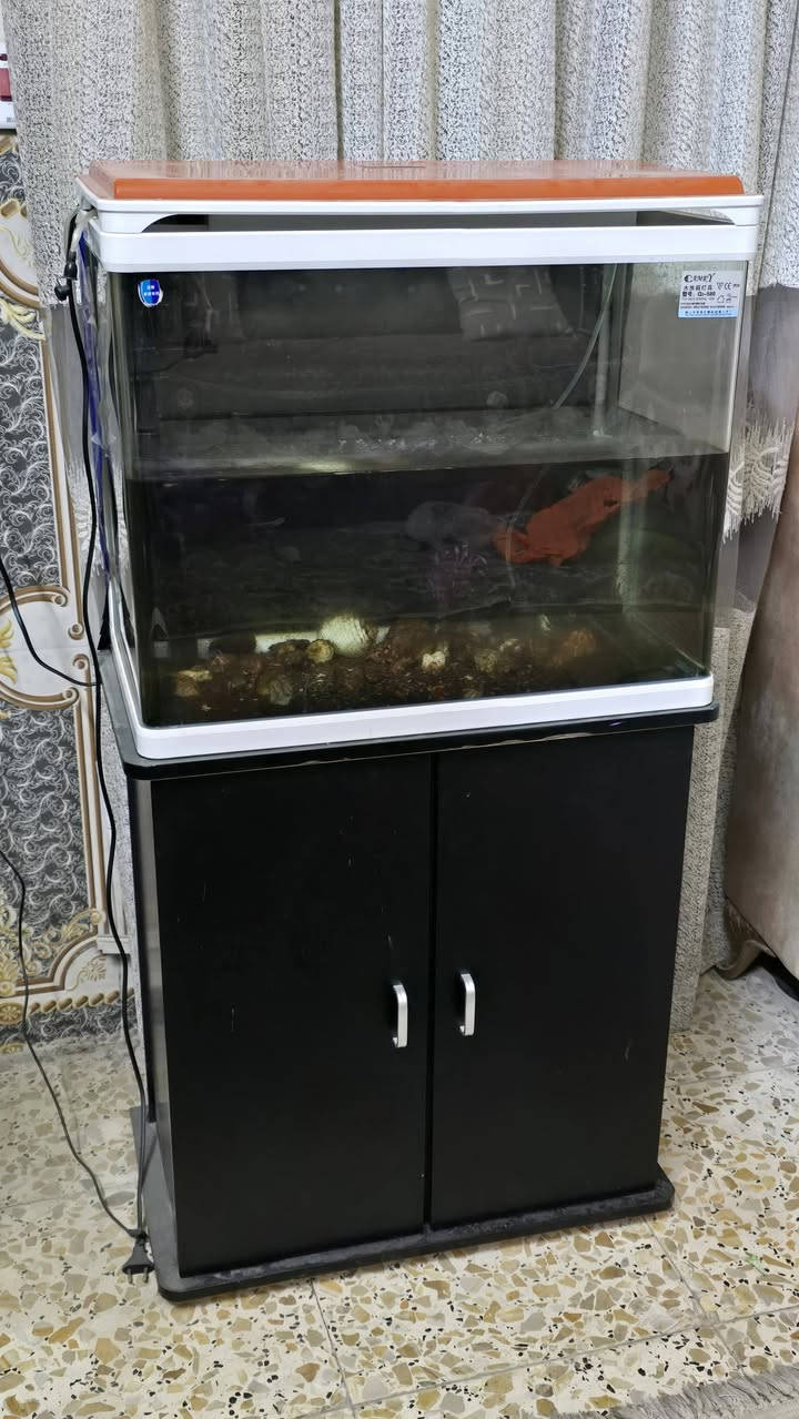 ابيعهن كلهن شلع ب١٧٥ مكاني الحرية


**إذا كنت صاحب هذا الإعلان وتريد حذفه لأي سبب، رجاءا أرسل رسالة إلى الدعم الفني**