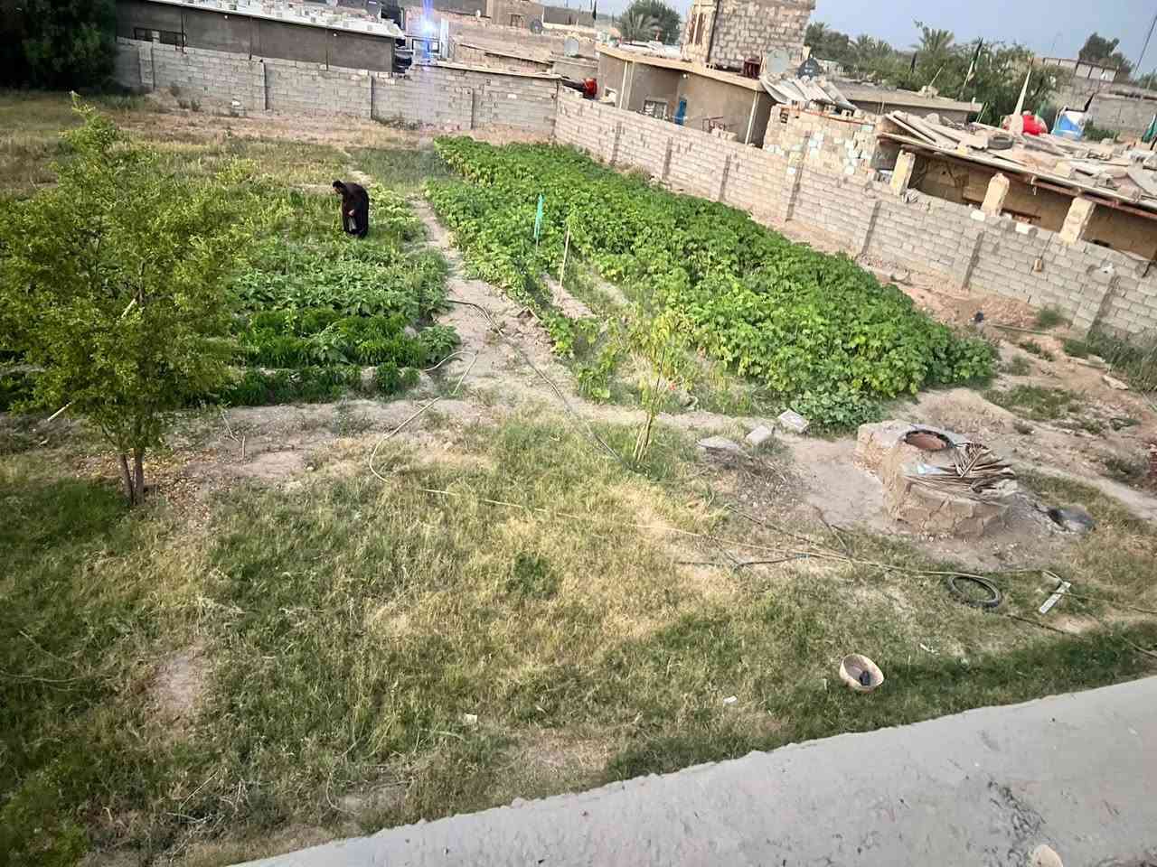 السلام عليكم ورحمة الله وبركاته 
نص دوم للبيع  زراعي المساحه الارض صافي 1160 مسيجه بلوك  باب 4امتار سلايت تسكام حديد ثكيل وشارع عرضه 8 م من ضمن مساحة الارض خاص بيها 
مدفونه وجاهزه 
المكان بداية حي رسمي قرب اسواق نصير 
عن الشارع العام 200 م مسجله بالبلدية 
مي اساله 
كهرباء 
مولد حي 
للاستفسار ***********
